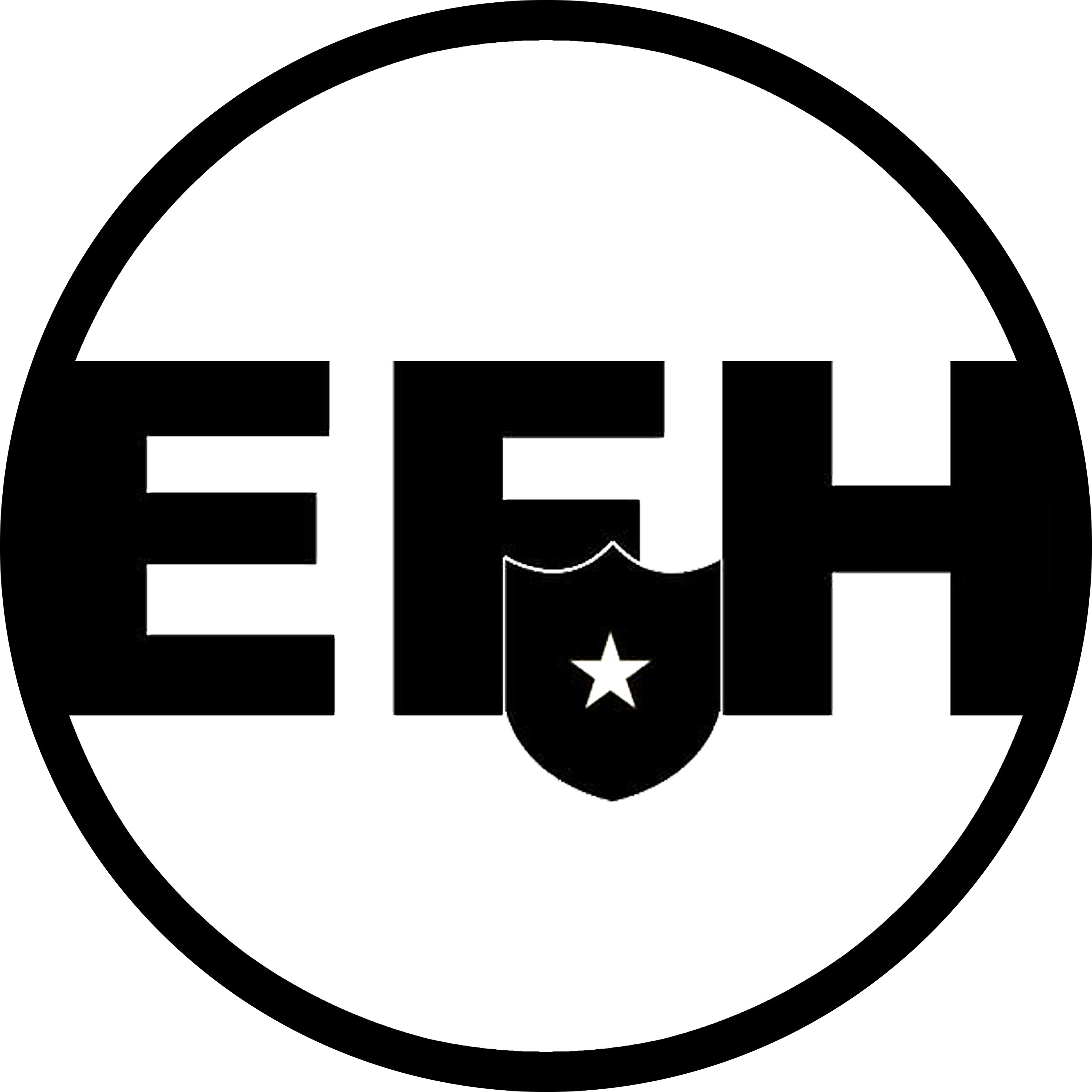 Logo EFH Tech 2010-2020